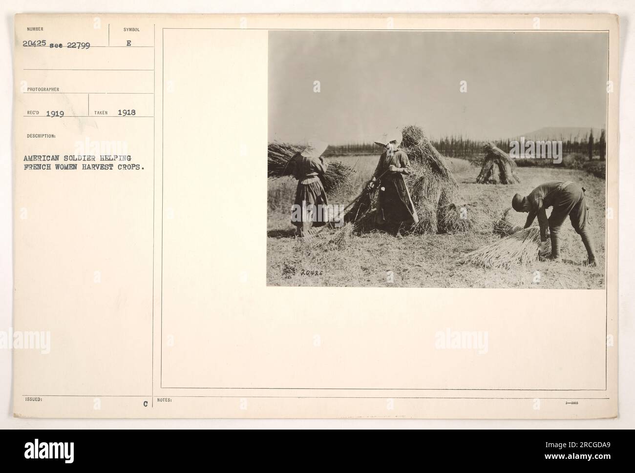 American soldier assisting French women in harvesting crops during World War One in 1918. Image number 20425, obtained in 1919. Photographer unknown. Symbol issued: B. Related image: 22799. This photograph is part of the collection 'Photographs of American Military Activities during World War One.' Cotes number 20420. Stock Photo