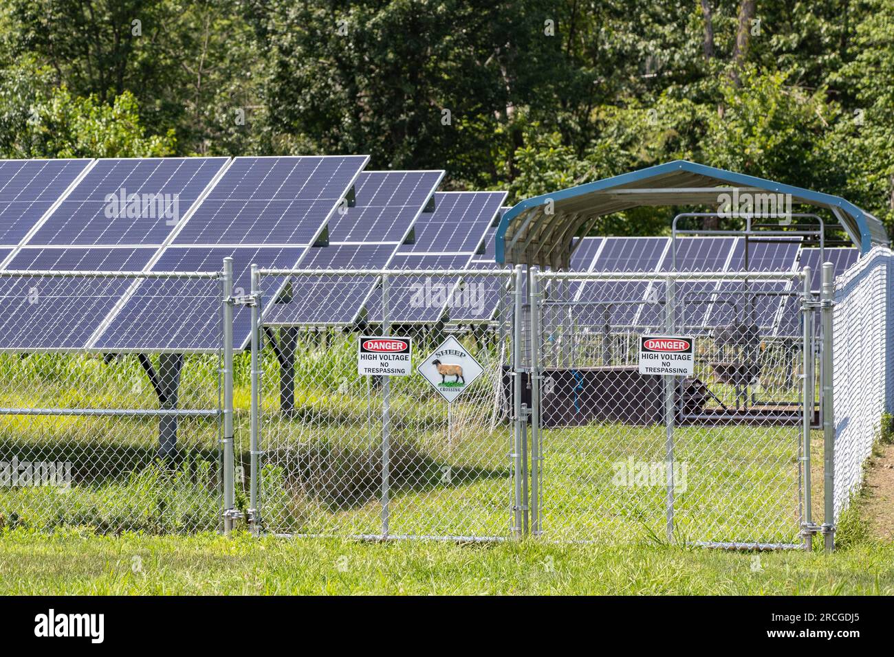 Bloomsburg, United States. 14th July, 2023. A fence surrounds the solar