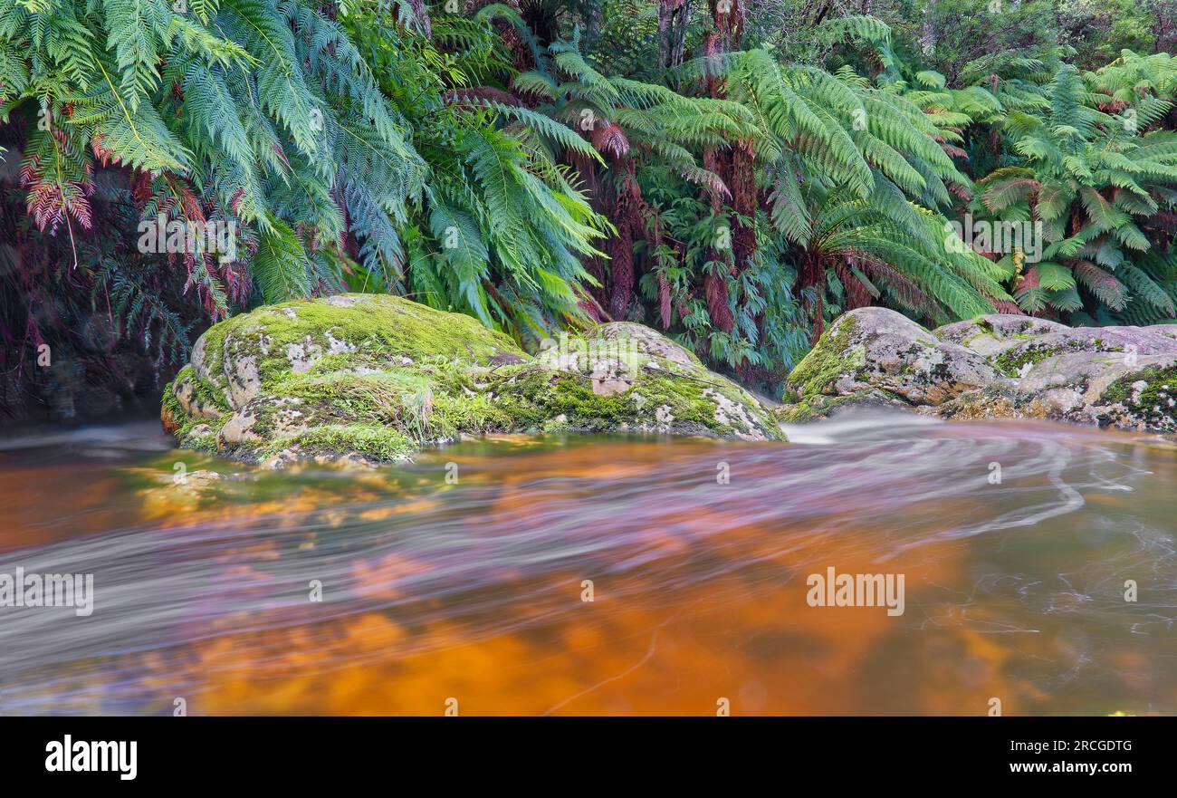 Groom river, Halls Falls, St Helens, Tasmania, Australia Stock Photo