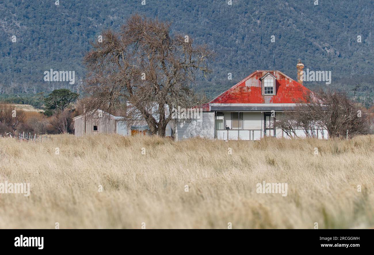Old abandoned farmhouse haunted house surrounded by long dead grass in rural country Tasmania, Australia Stock Photo