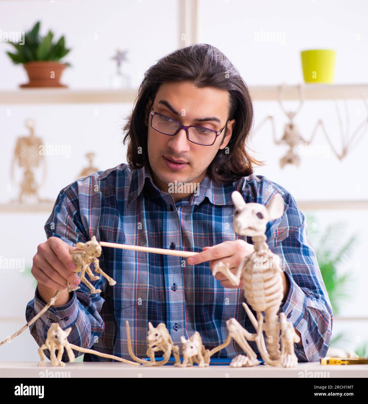 Young teacher paleontologist in the classroom Stock Photo Alamy