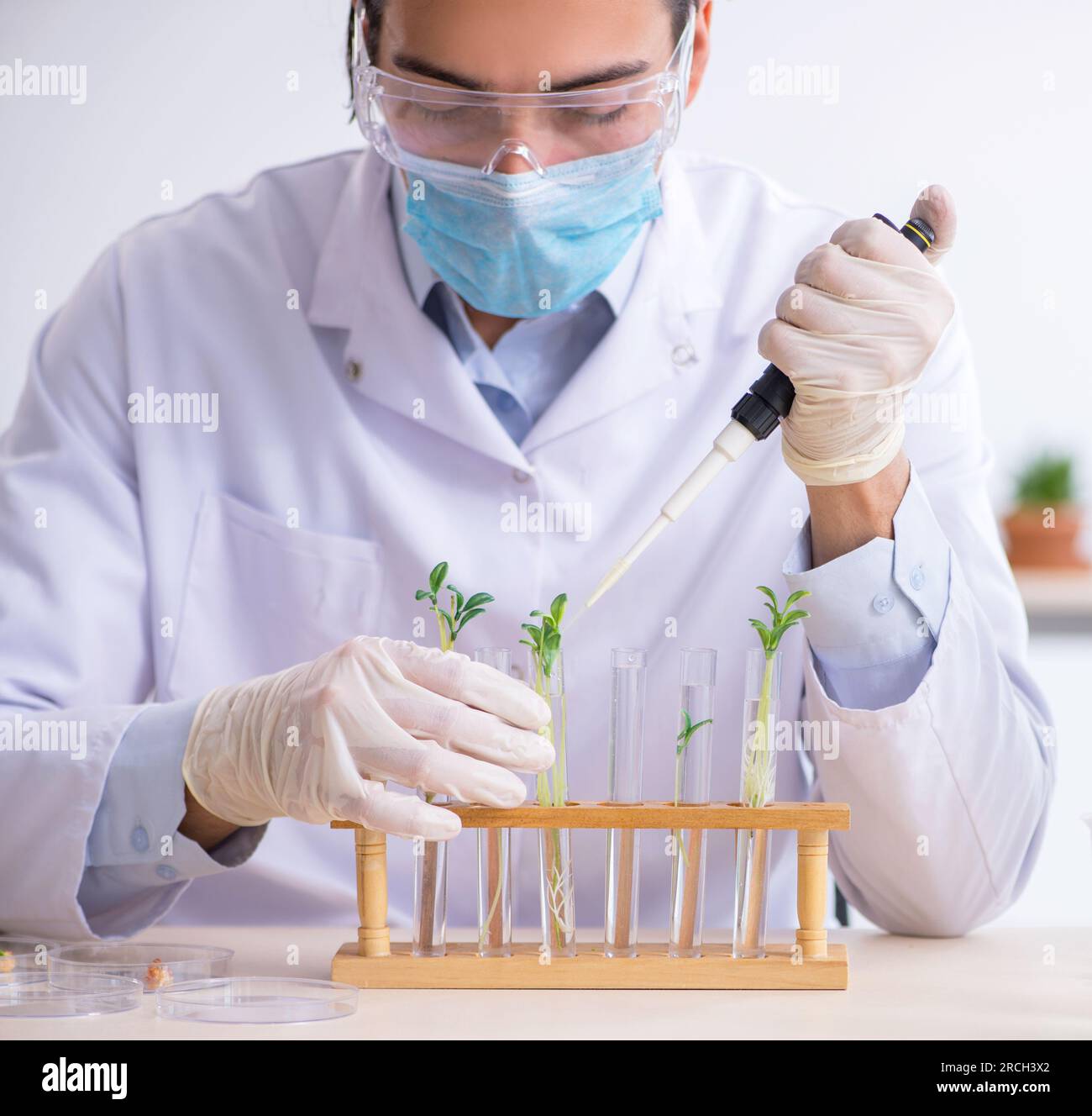The young male chemist working in the lab Stock Photo
