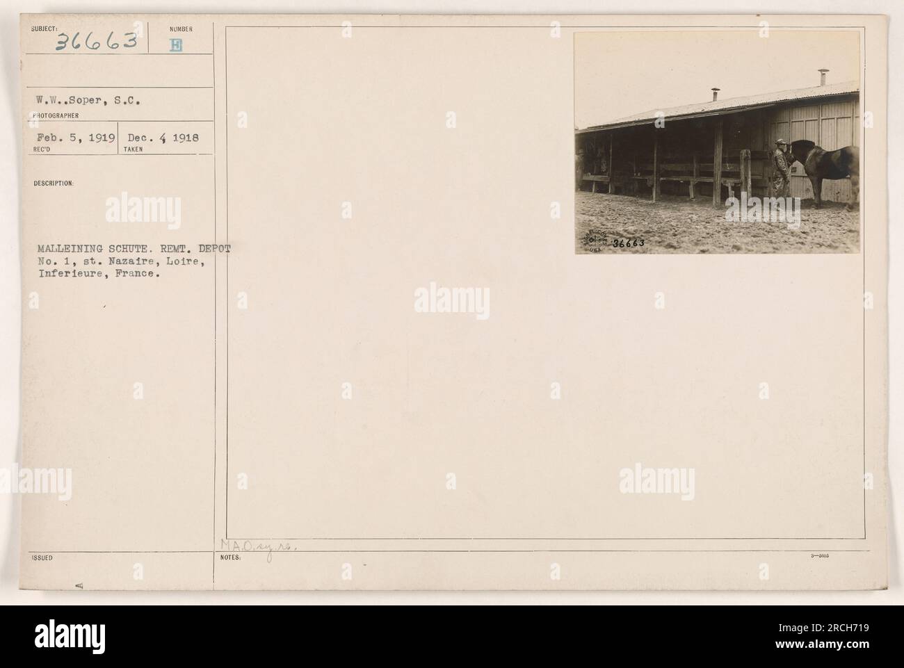 Soldiers of Remount Depot No. 1 in St. Nazaire, France, with horse