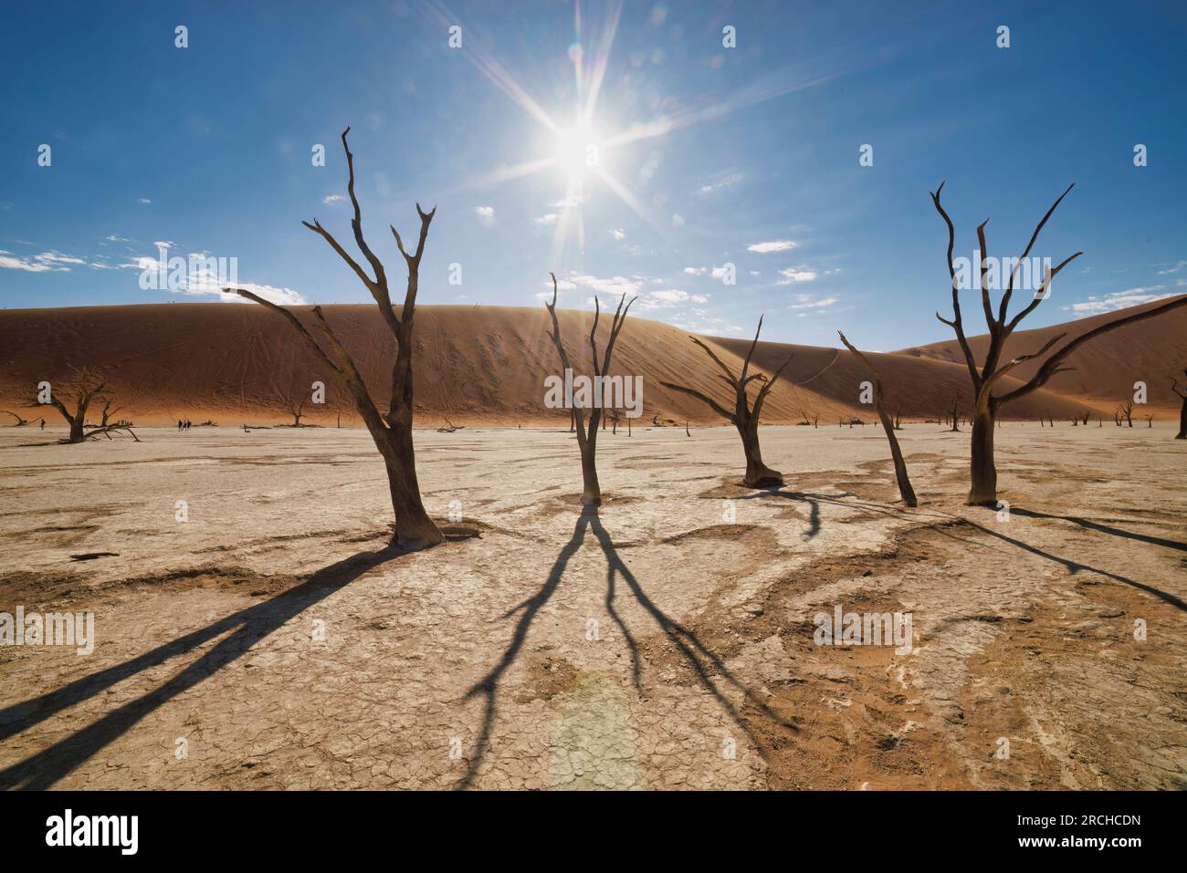 Namibia 2023 hi-res stock photography and images - Alamy