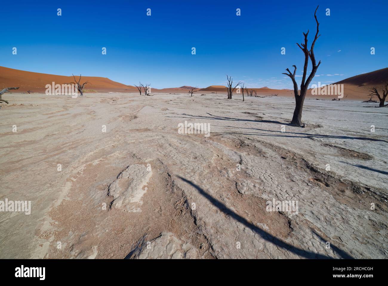 Namibia 2023 hi-res stock photography and images - Alamy