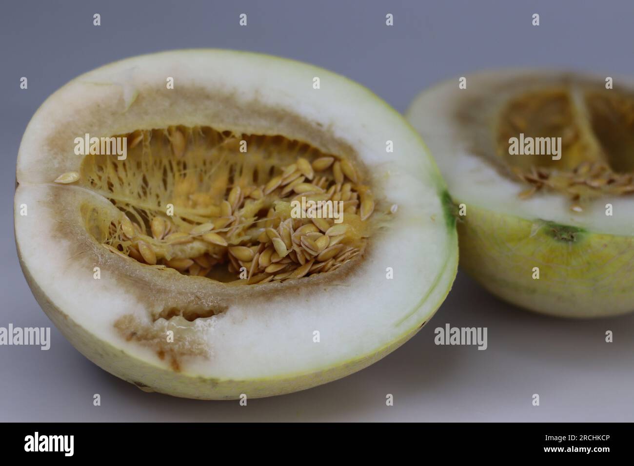 Decomposed or rotten honeydew melon. Cross section of the honeydew melon with its rotten or spoiled flesh. Honeydew Melon is one of the two main culti Stock Photo