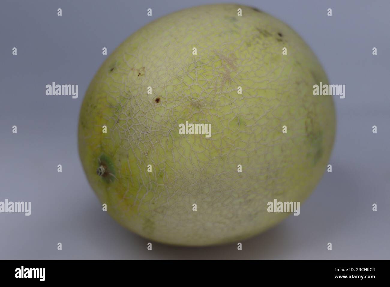 Honeydew Melon. It is one of the two main cultivar types in Cucumis melo Inodorus Group. It is characterized by the smooth rind and lack of musky odou Stock Photo