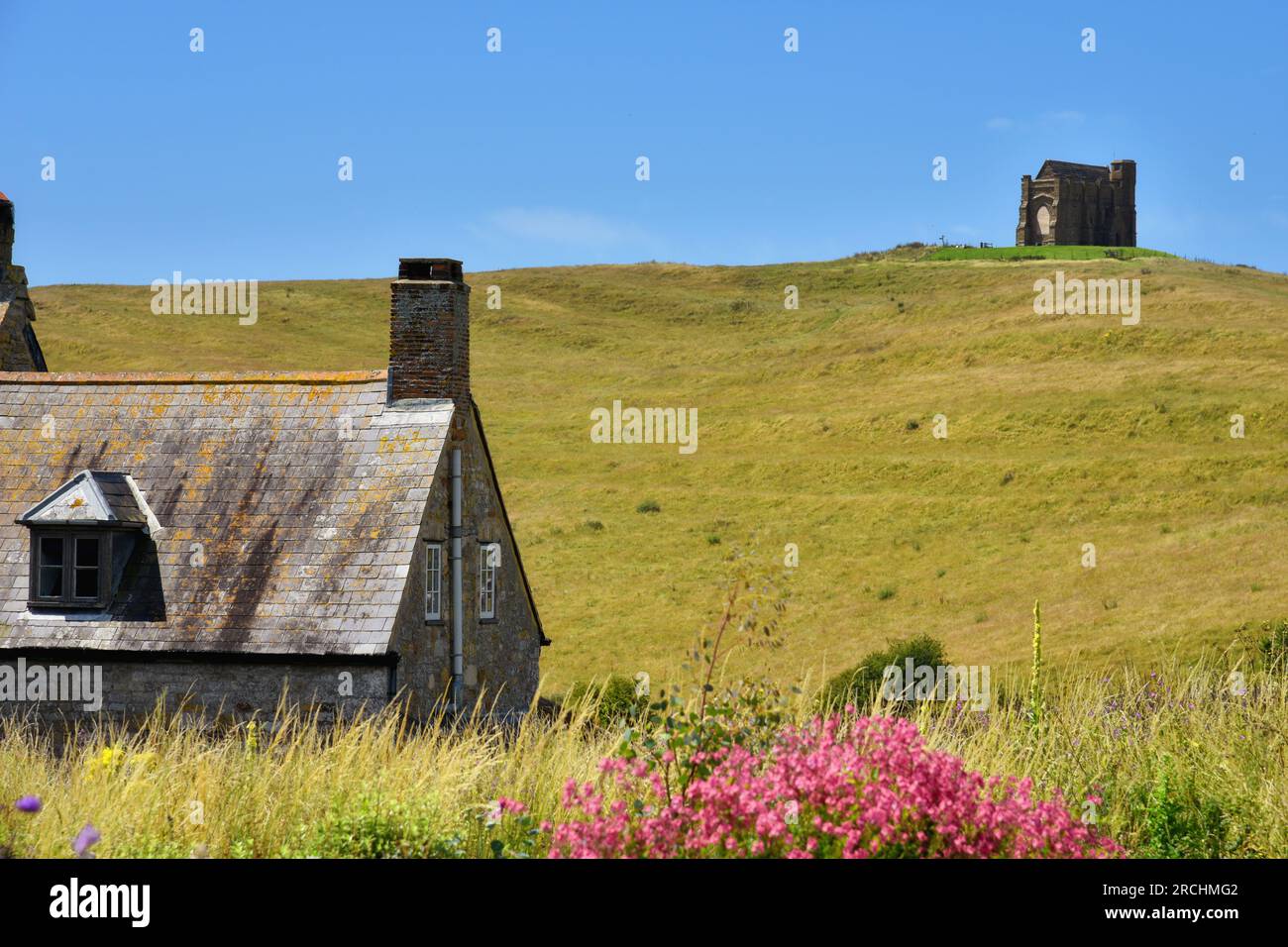 Abbotsbury village, Jurassic Coast, Dorset, UK. Cottage in countryside with St Catherine's Chapel on background. Stock Photo
