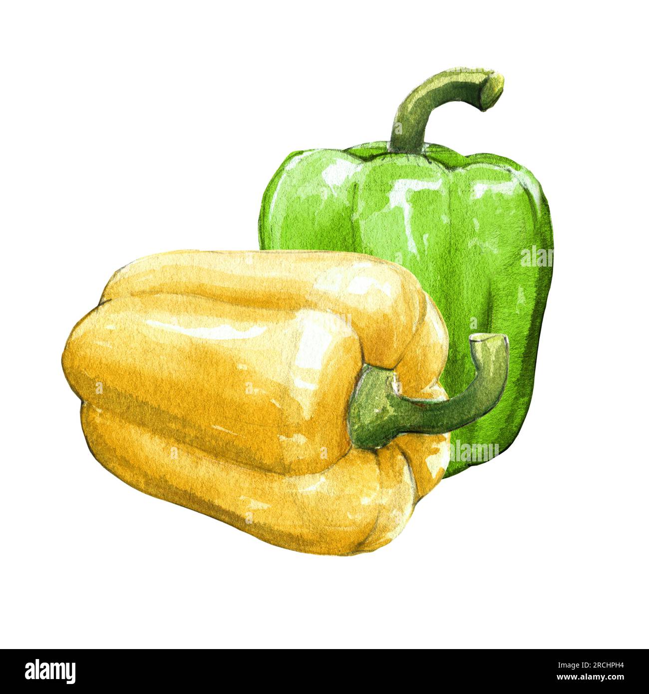 yellow bell pepper watercolor illustration on white background Stock Photo