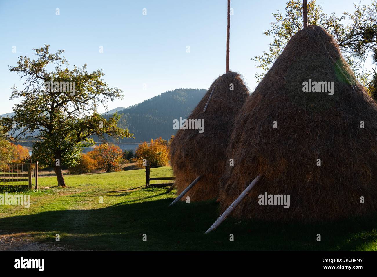 Agriculture haystack hi res stock photography and images Alamy
