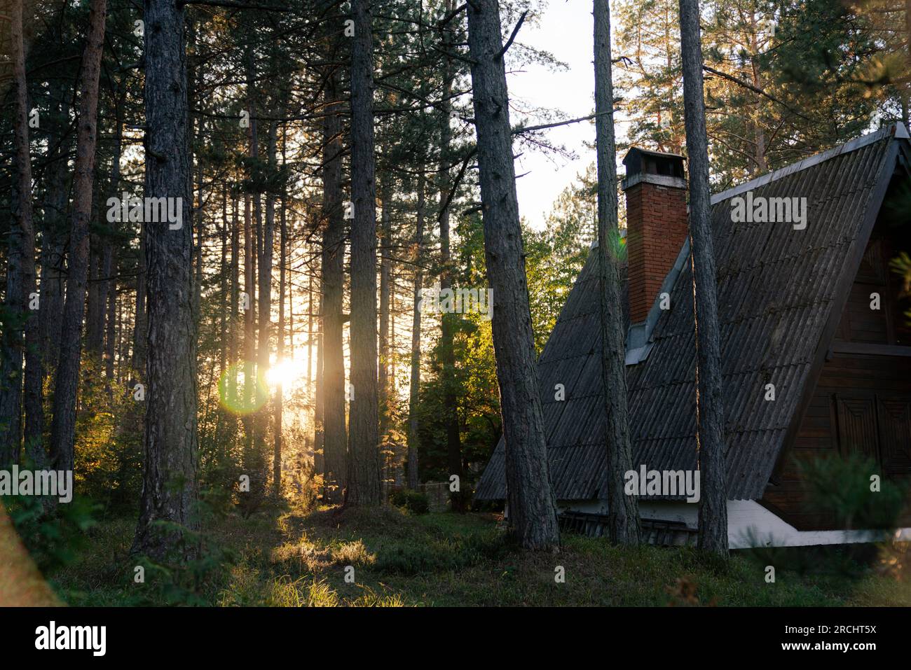 Summer villa house in forest hi-res stock photography and images - Alamy