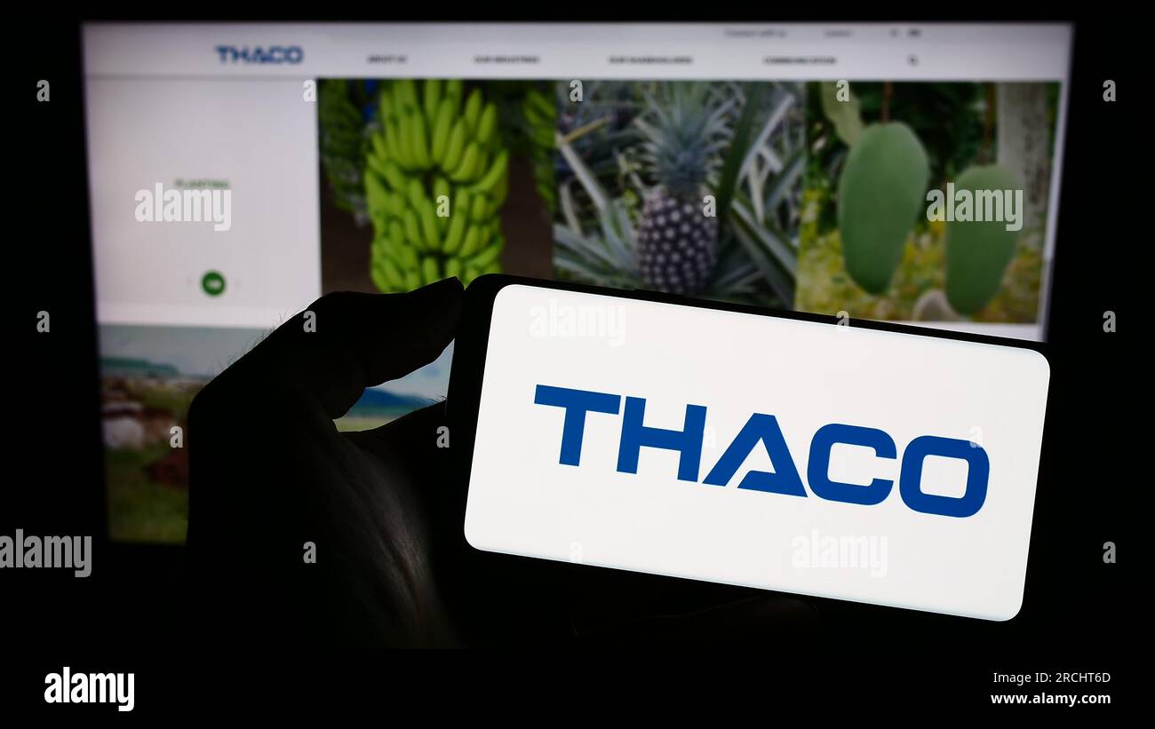 Person holding cellphone with logo of company Truong Hai Auto Corporation (THACO) on screen in front of webpage. Focus on phone display. Stock Photo