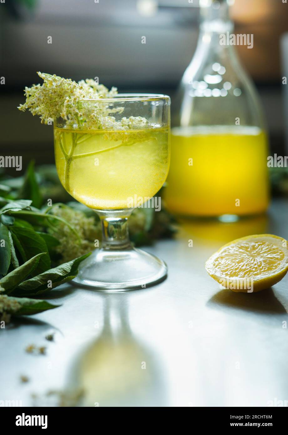 Glass of delicious elderflower lemon liqueur with fresh elderflowers. Front view Stock Photo
