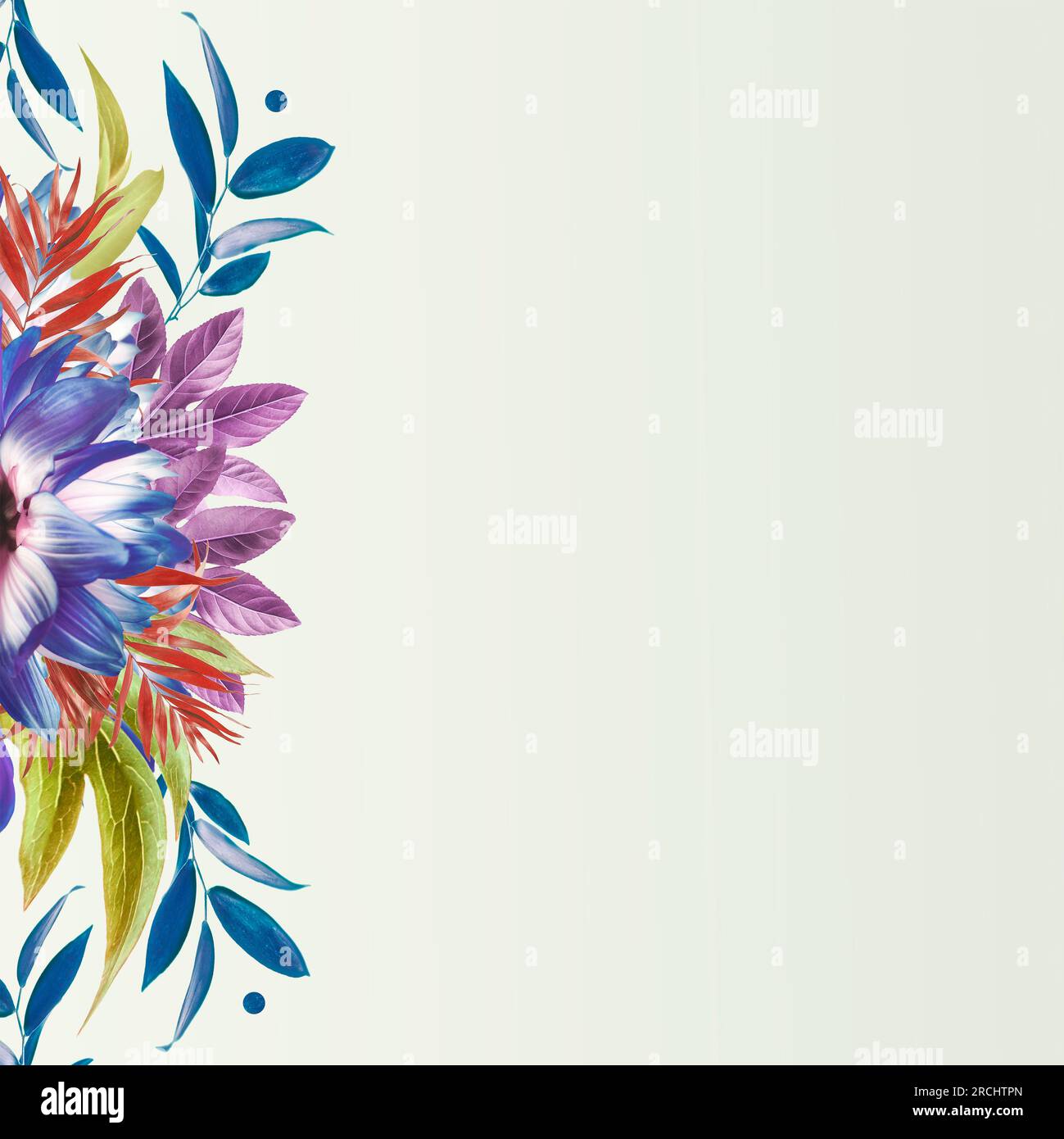 Floral border composing with flowers bloom and various leaves. Stock Photo