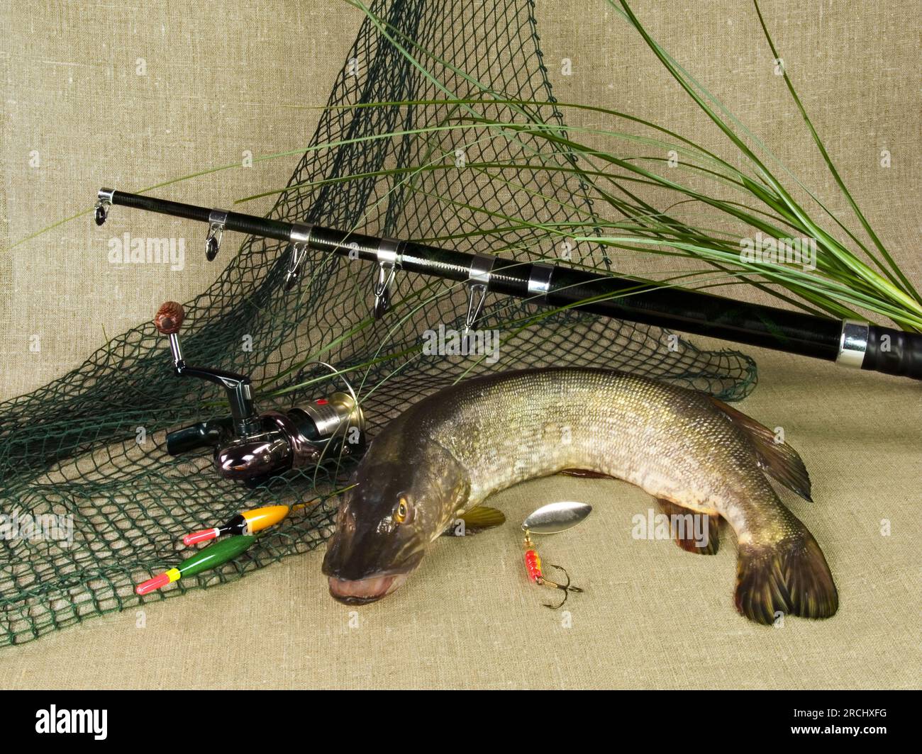 Freshwater fishing pole hi-res stock photography and images - Page 16 -  Alamy