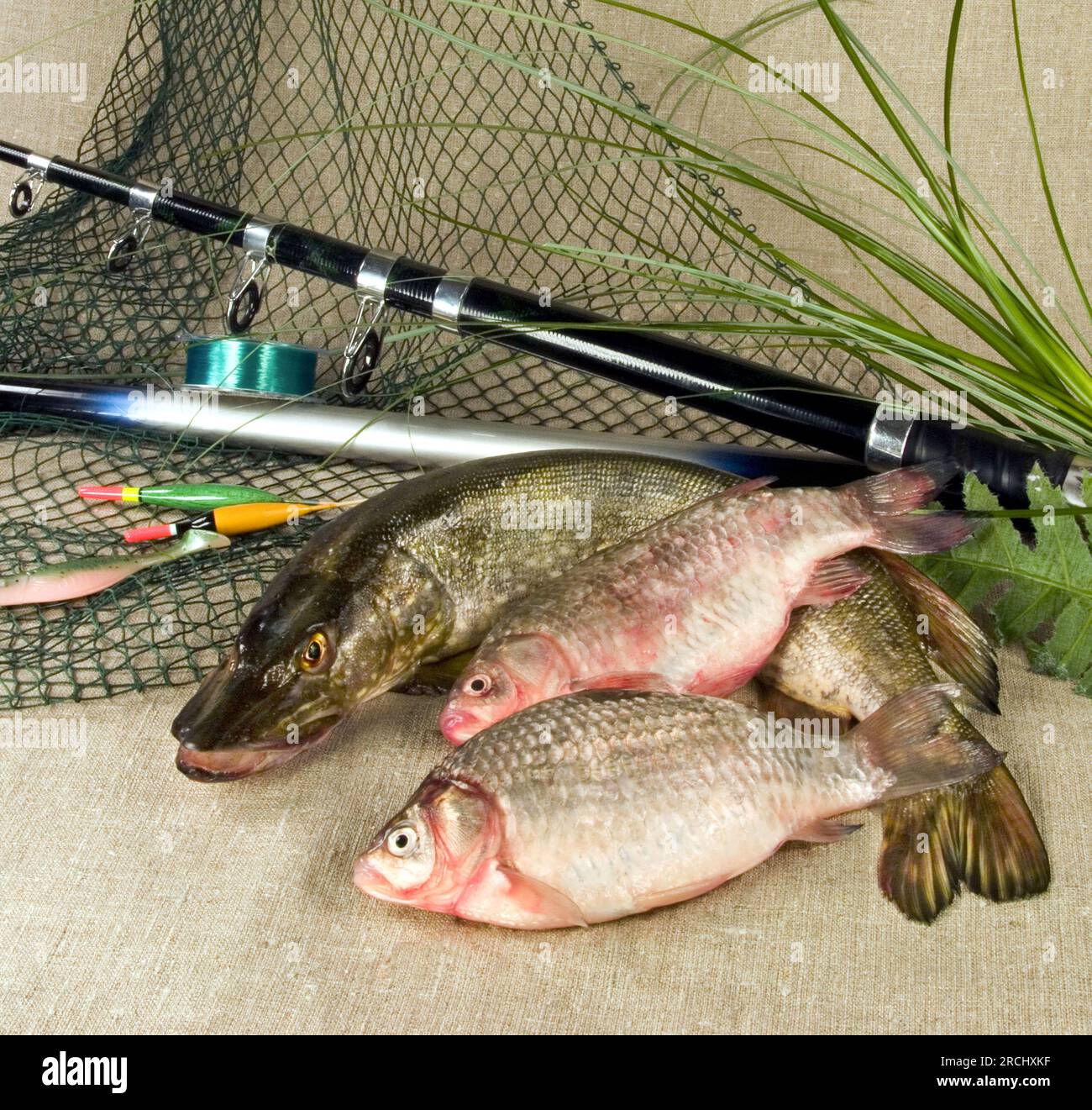 Fishing background, fish with fishing tackle photo background, fishing  wallpaper Stock Photo - Alamy