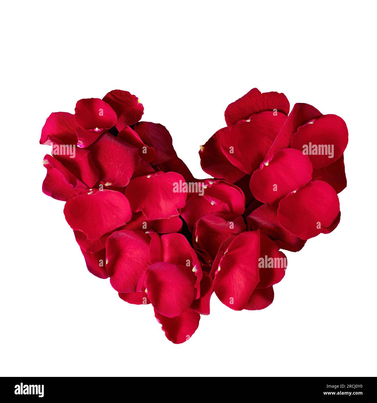 Heart of Rose Petals. Heart Made From Red Rose Petals Isolated on White