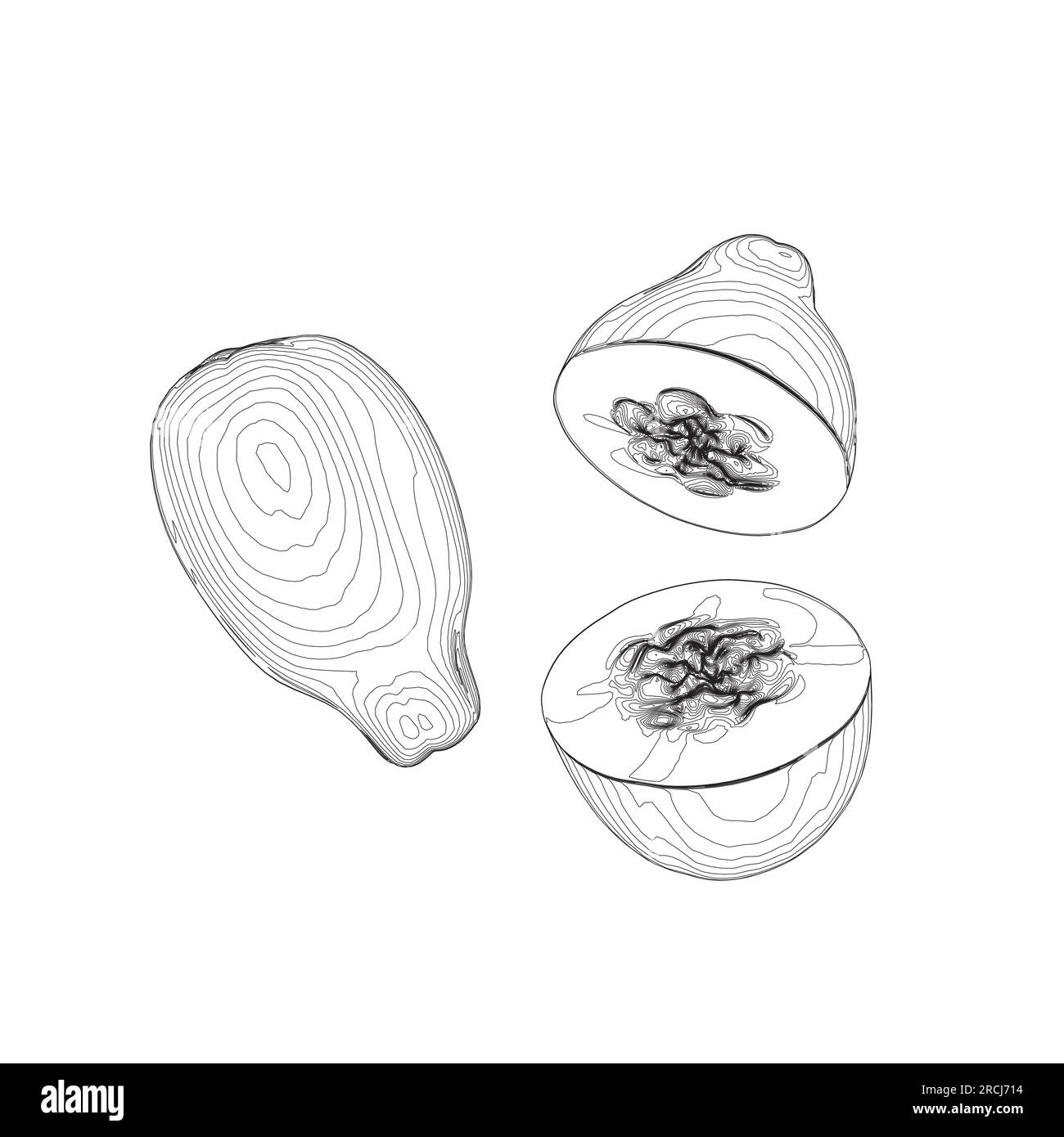 Papaya fruit outline vector icon, drawing monochrome illustration. Healthy nutrition, organic food, vegetarian product. Papaya Sketch hand drawn vecto Stock Vector