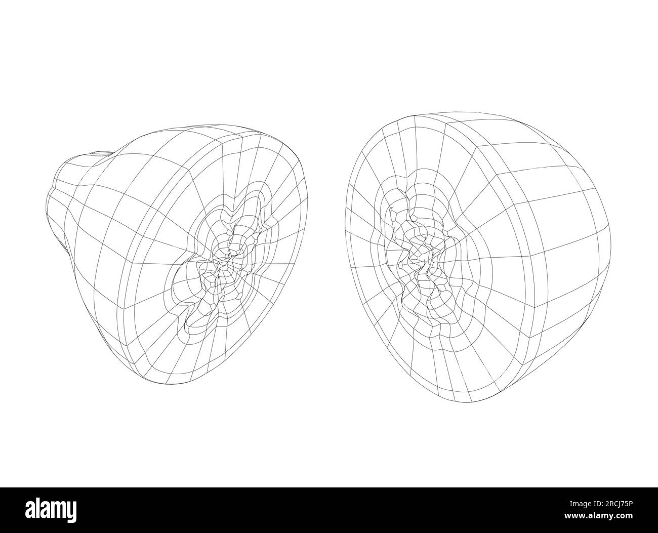 Papaya fruit wireframe vector icon, drawing monochrome illustration. Healthy nutrition, organic food, vegetarian product. Papaya hand drawn vector ill Stock Vector
