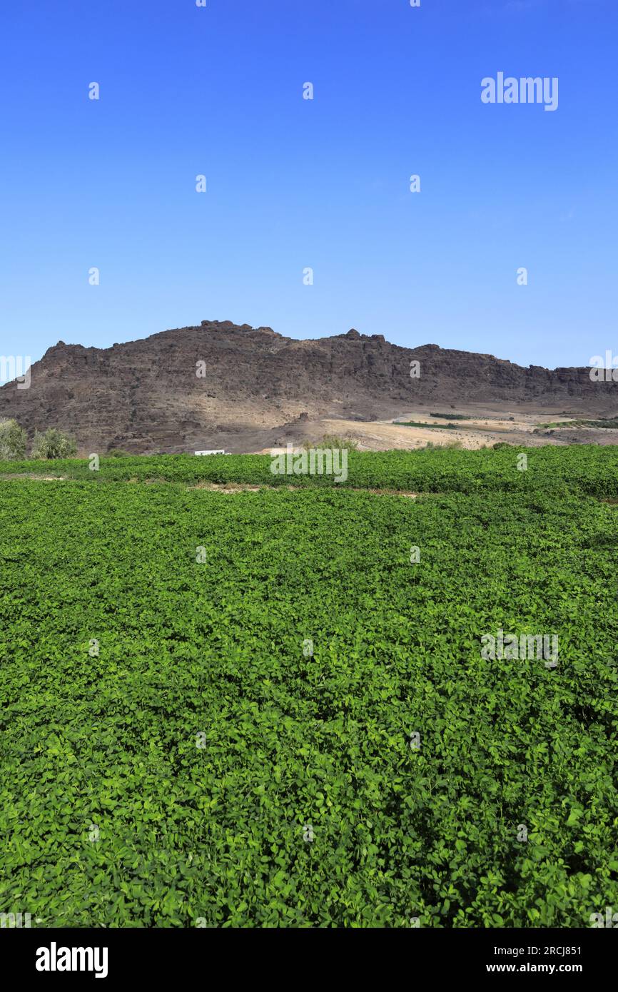 Petra jordan water channel hi-res stock photography and images - Alamy