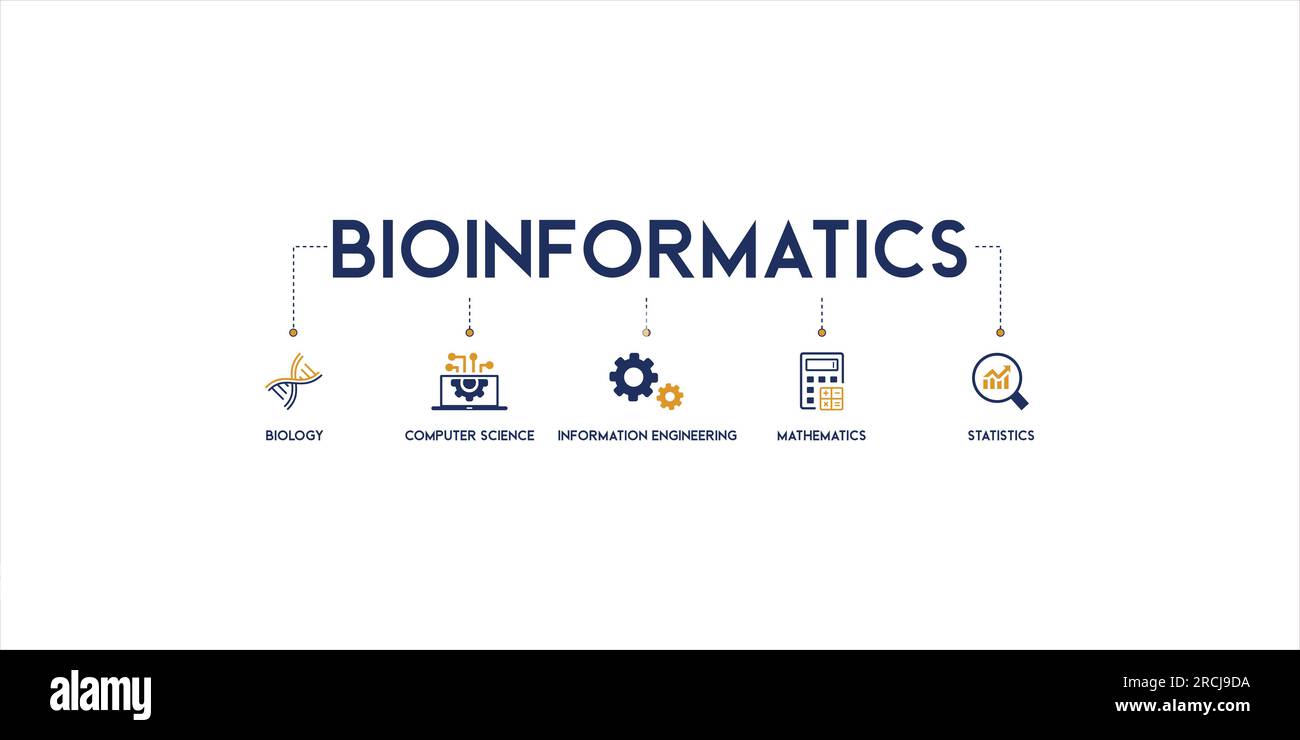 Modern icon set of bioinformatics concept vector illustration with English keywords and icon of biology, computer science, information engineering Stock Vector