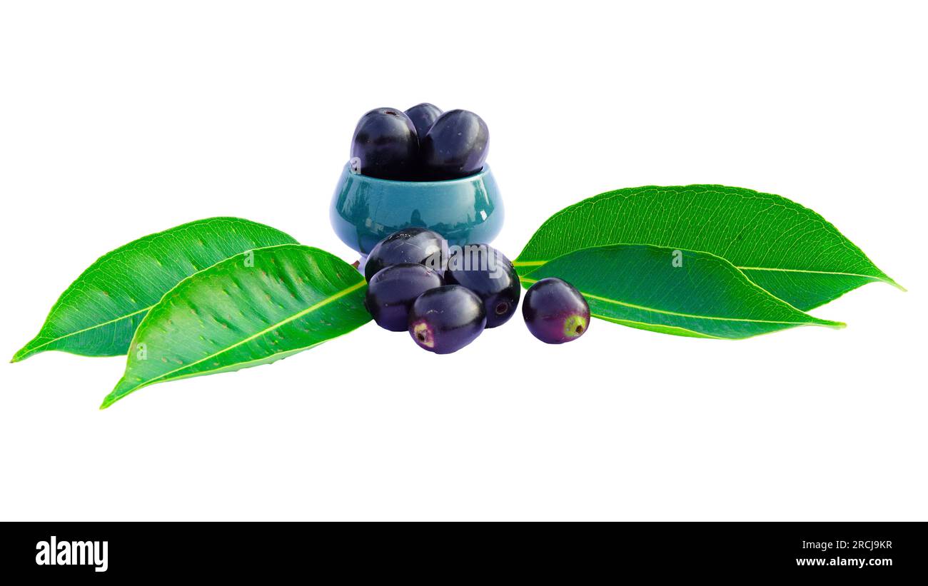 Jamun or Black Plum in a bowl Isolated on White Background with Leaves, Also Known as Malabar
