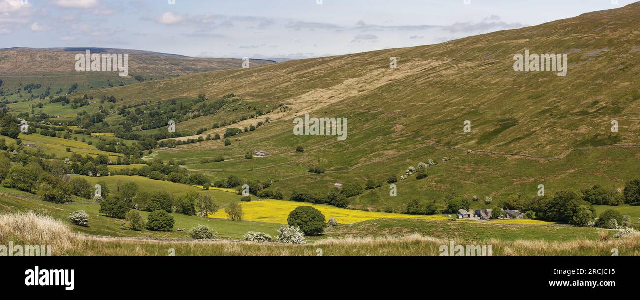 Panoramic view of Deepdale, near Dent, Yorkshire Dales National Park, with hay meadows in summer Stock Photo