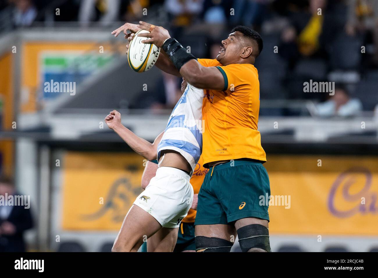 Will skelton hi-res stock photography and images - Alamy