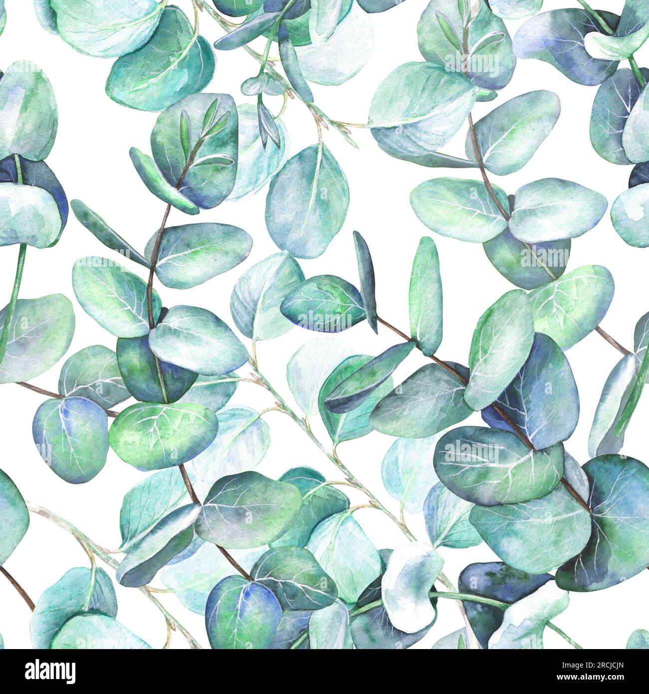 Seamless pattern from leaves of branches of eucalyptus. Watercolor illustration isolated on white background. The application is designed for printing Stock Photo