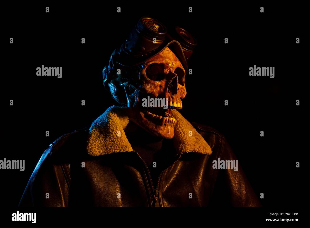Skull with leather jacket and steampunk goggles. Aviator costume. Colored lights Stock Photo