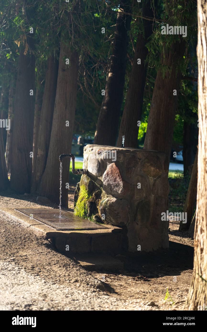 Artesian well found in the woods of northern Michigan Stock Photo Alamy