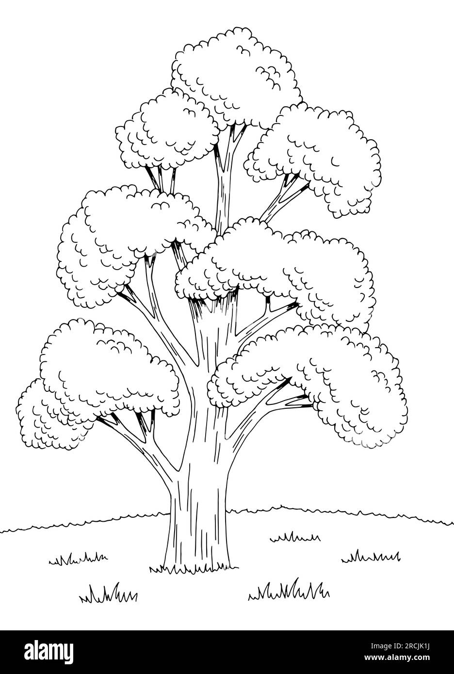 Ginko bilbao tree graphic black white landscape sketch illustration ...