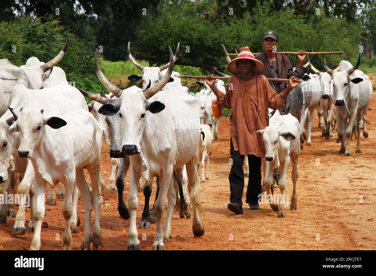 Portraits of kids on my last trip to Nigeria, famous in agriculture Stock Photo