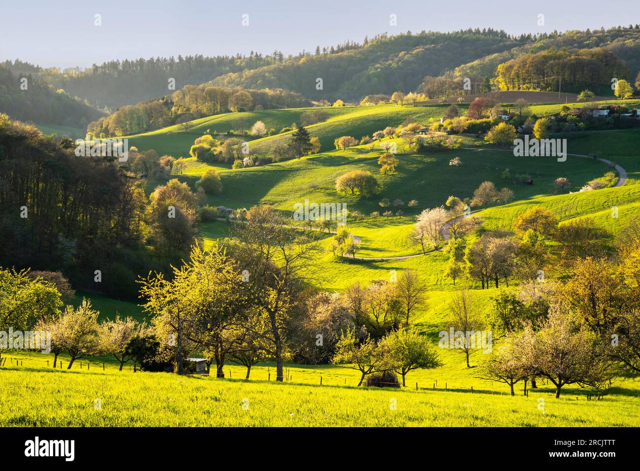 Spring hour hi-res stock photography and images - Alamy