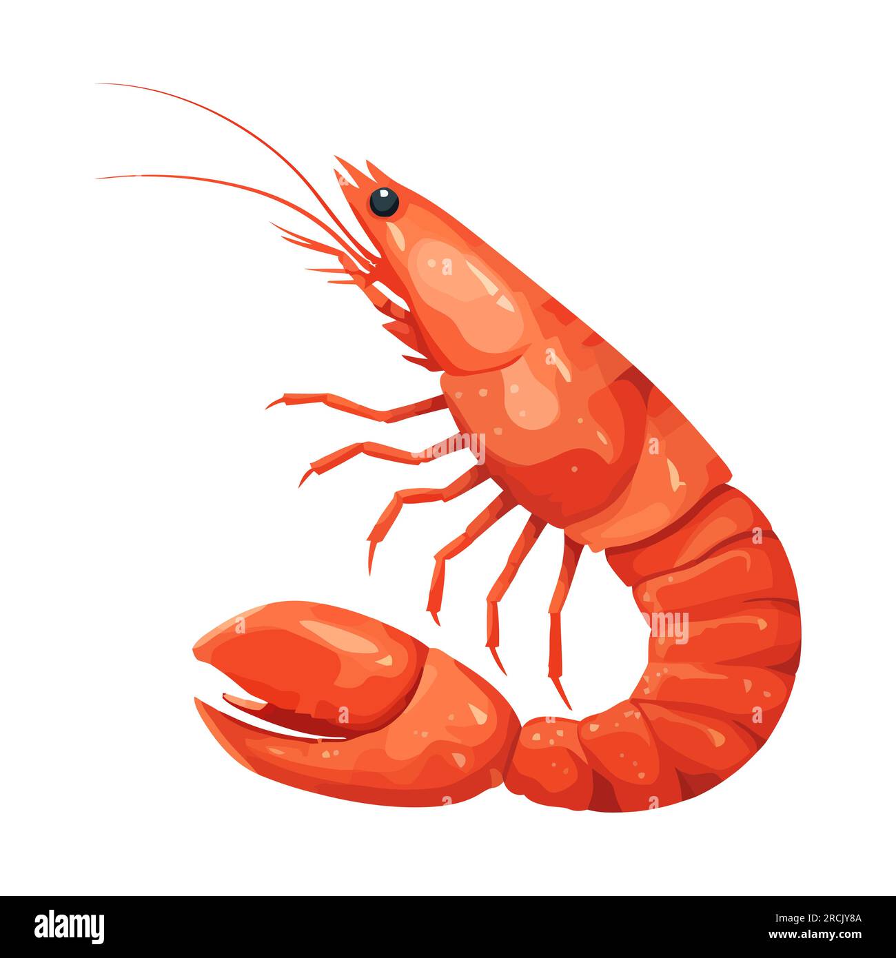 Shrimp Image Isolated Shrimp Icon Cute Red Prawn In Flat Design shrimp-image-isolated-shrimp-icon-cute-red-prawn-in-flat-design