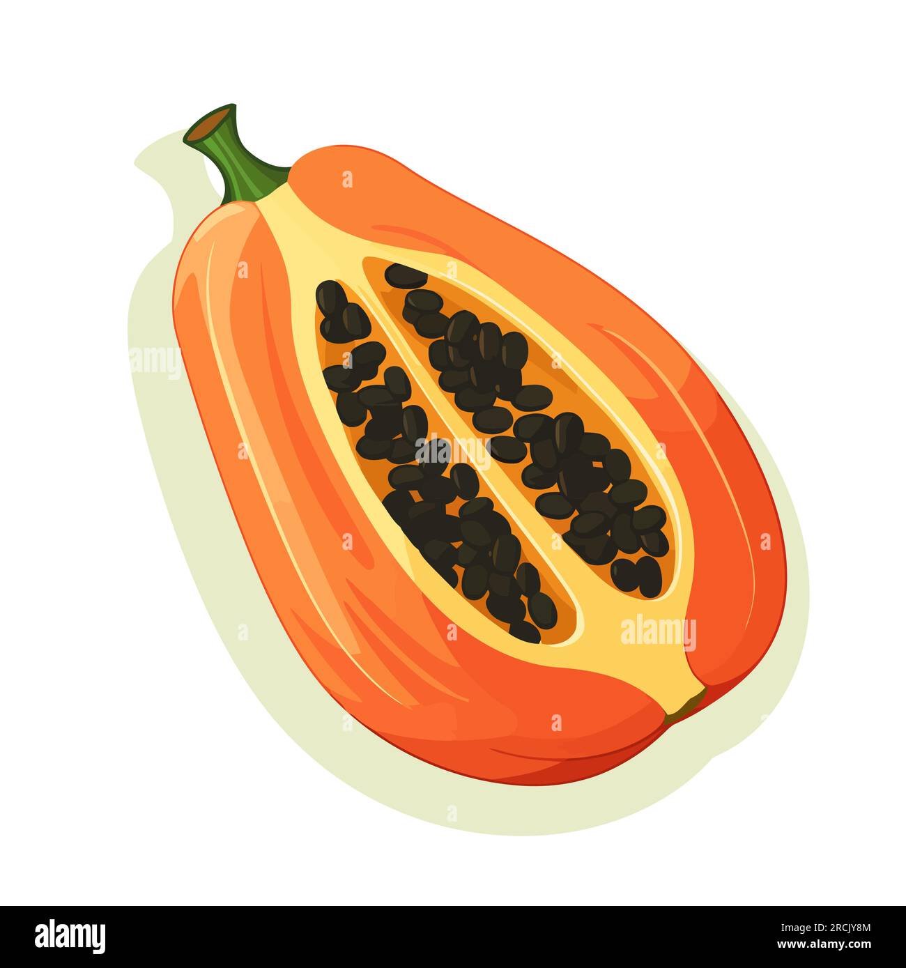 Papaya icon. Papaya image isolated. Sliced papaya in flat design