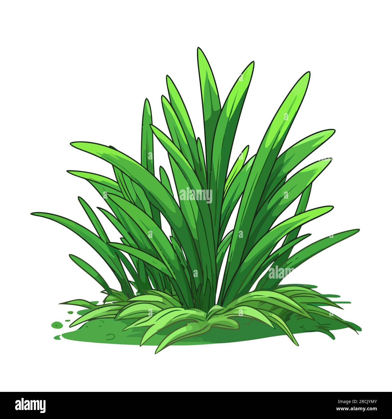 Green grass. Green grass silhouette isolated on a white background ...