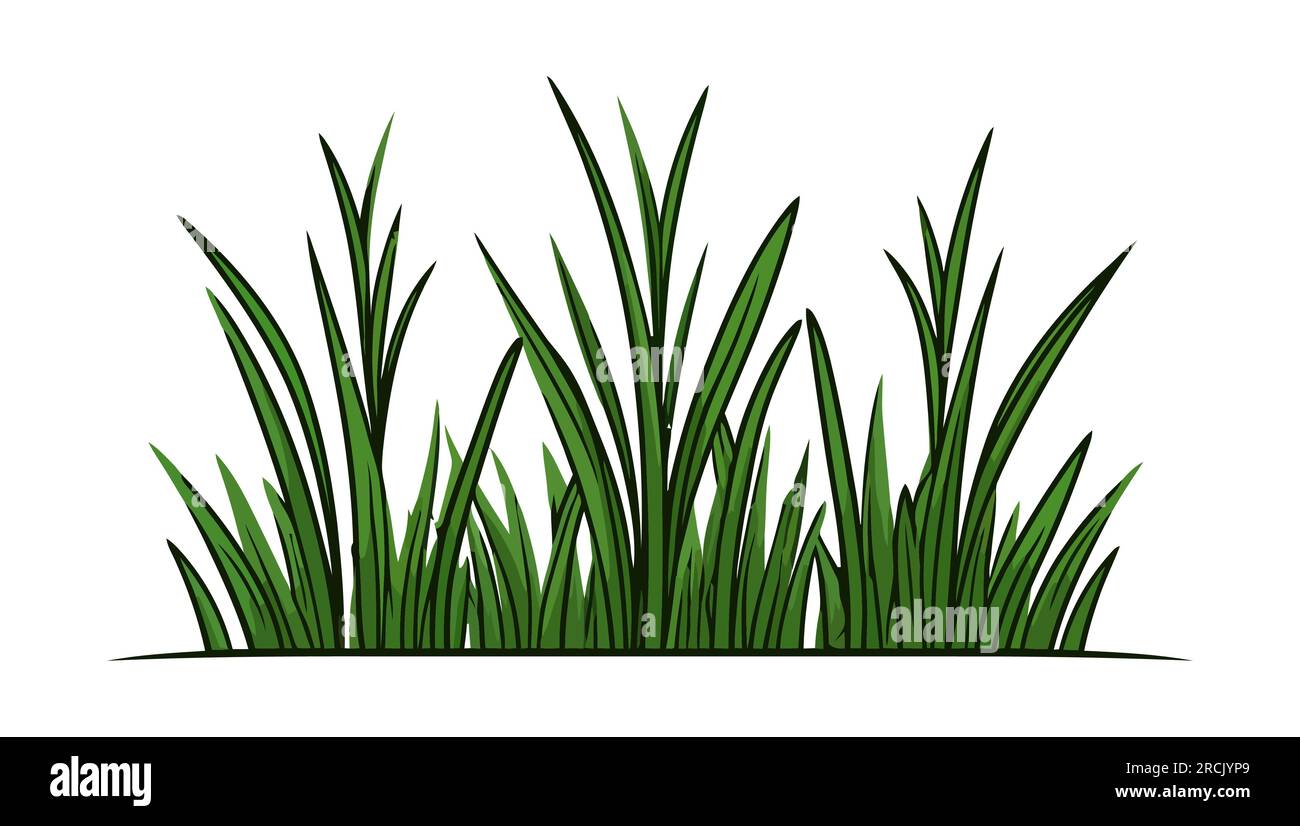 Green grass. Green grass silhouette isolated on a white background ...