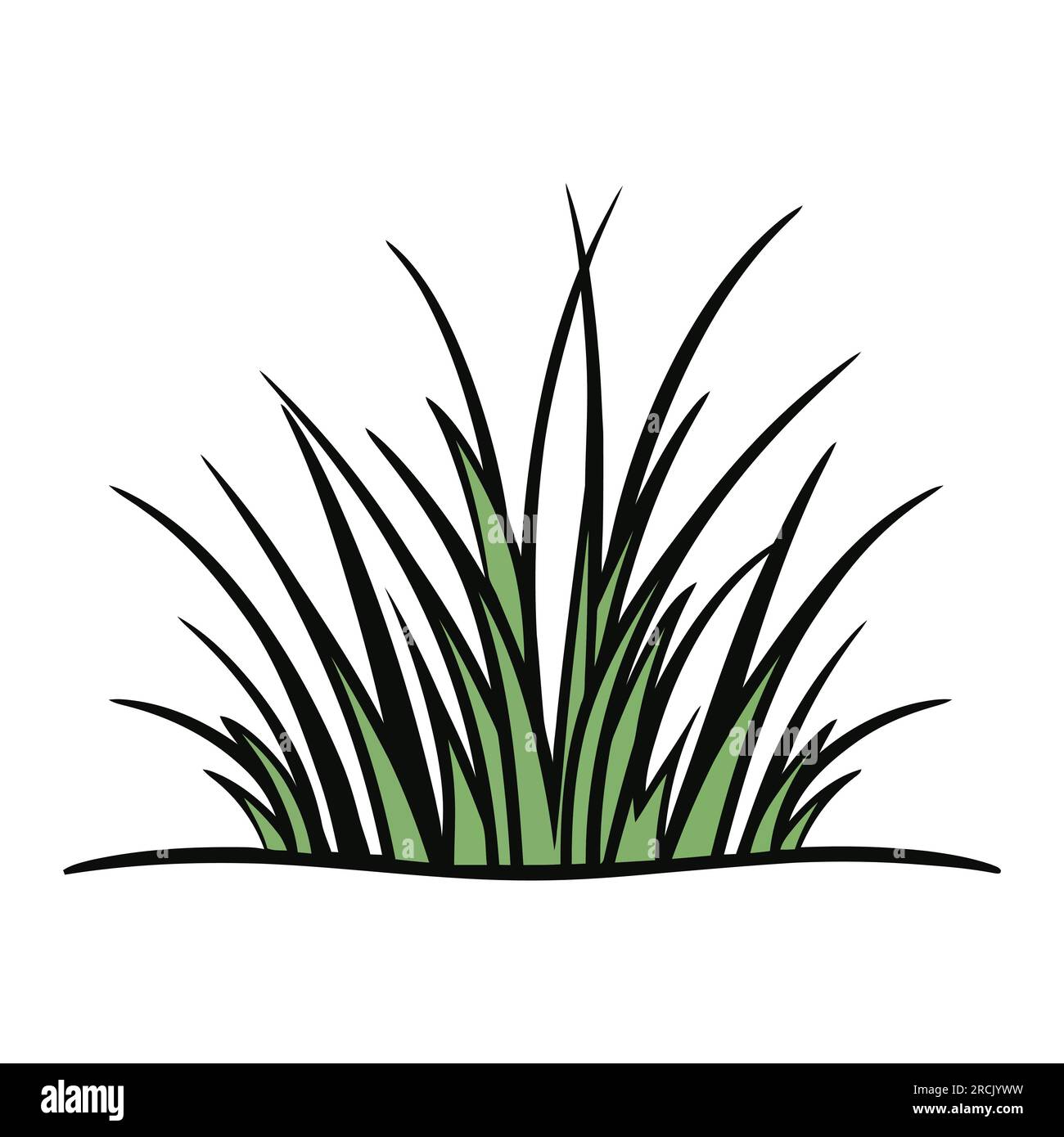 Green grass. Green grass silhouette isolated on a white background