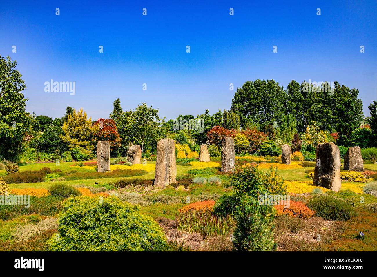The Holme Henge with its Purbeck stone monoliths and colourful heathers