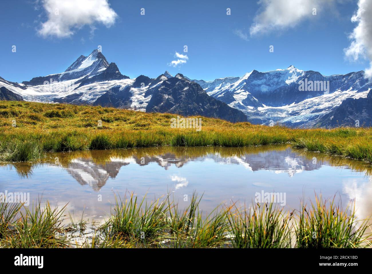 Mirror-like reflection of Schreckhorn (4078m) and Bernese Alps at Grindelwald-First, Switzerland in the vicinity of Bachalpsee Lake. Stock Photo