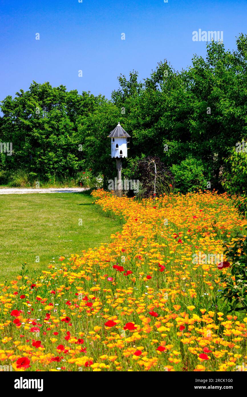 A traditional wooden dovecot rising from an impressive and colourful