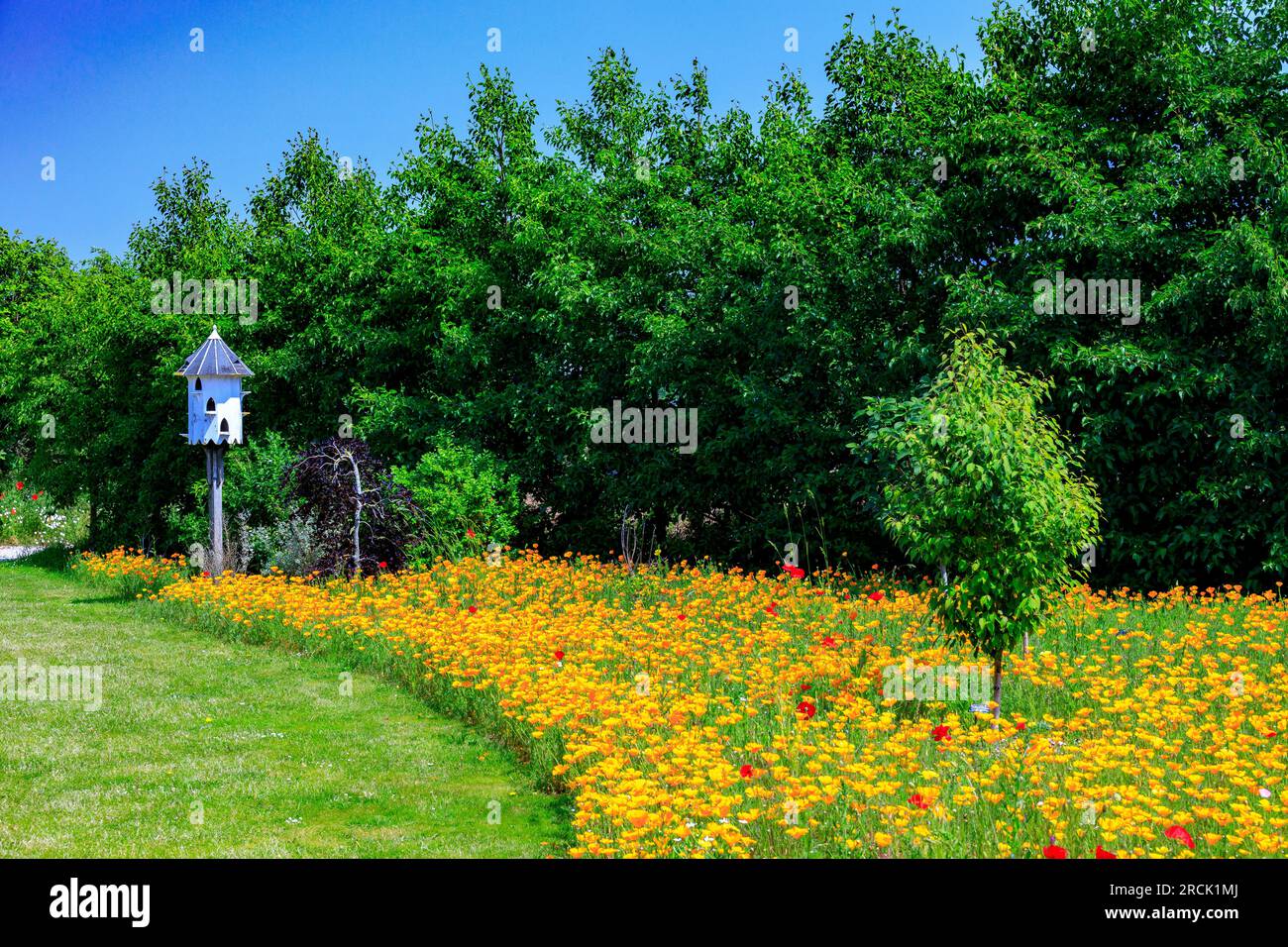 A traditional wooden dovecot rising from an impressive and colourful