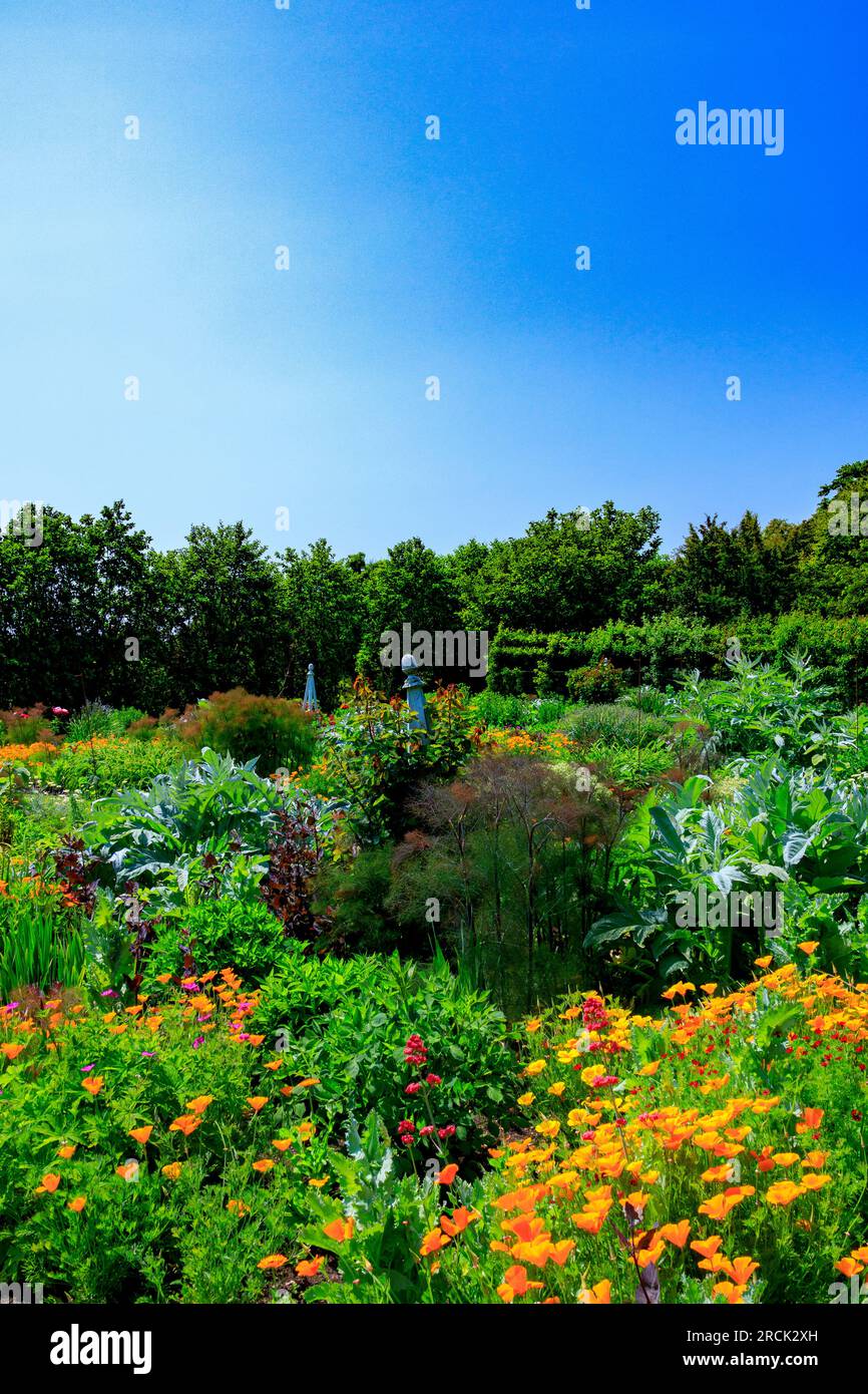 The colourful Formal Flower Garden at the Holme for Gardens landscaped
