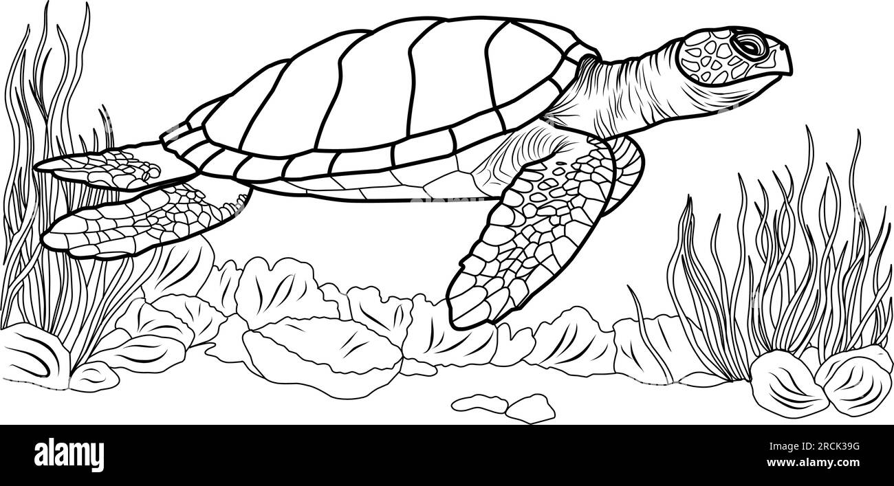 Big ocean turtle, cute striped fishes in the underwater world with algae, sand, bubbles on white isolated background. Good for kids and adults colorin Stock Vector