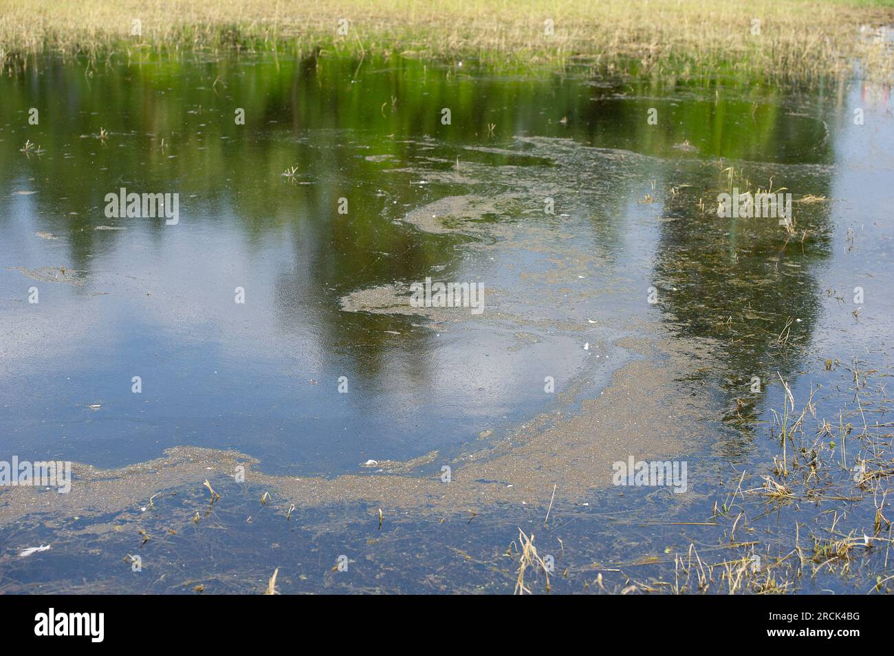dorney-buckinghamshire-uk-16th-june-2023-a-film-of-pollution-on