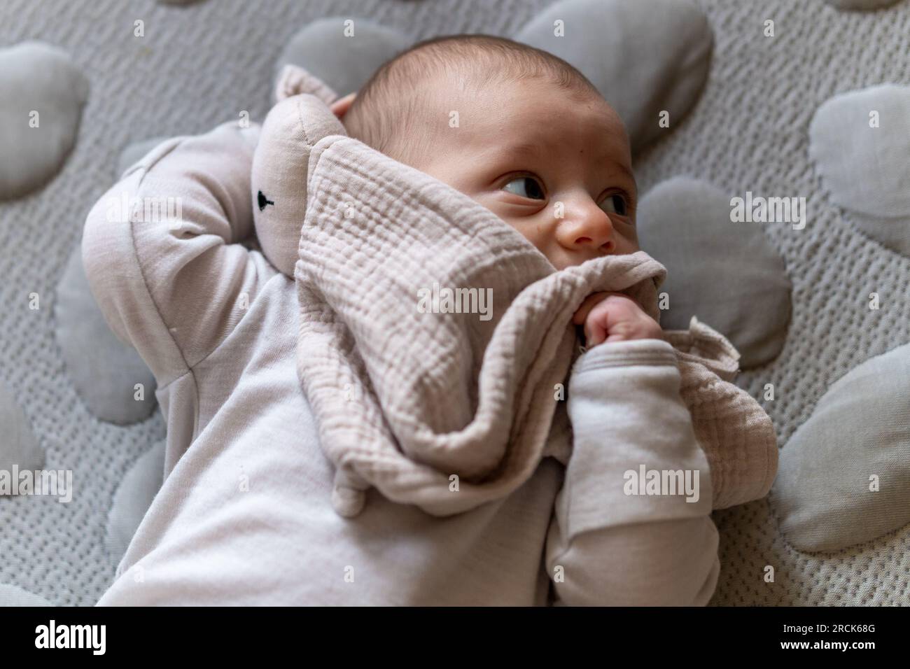 Lovey for baby boy sale