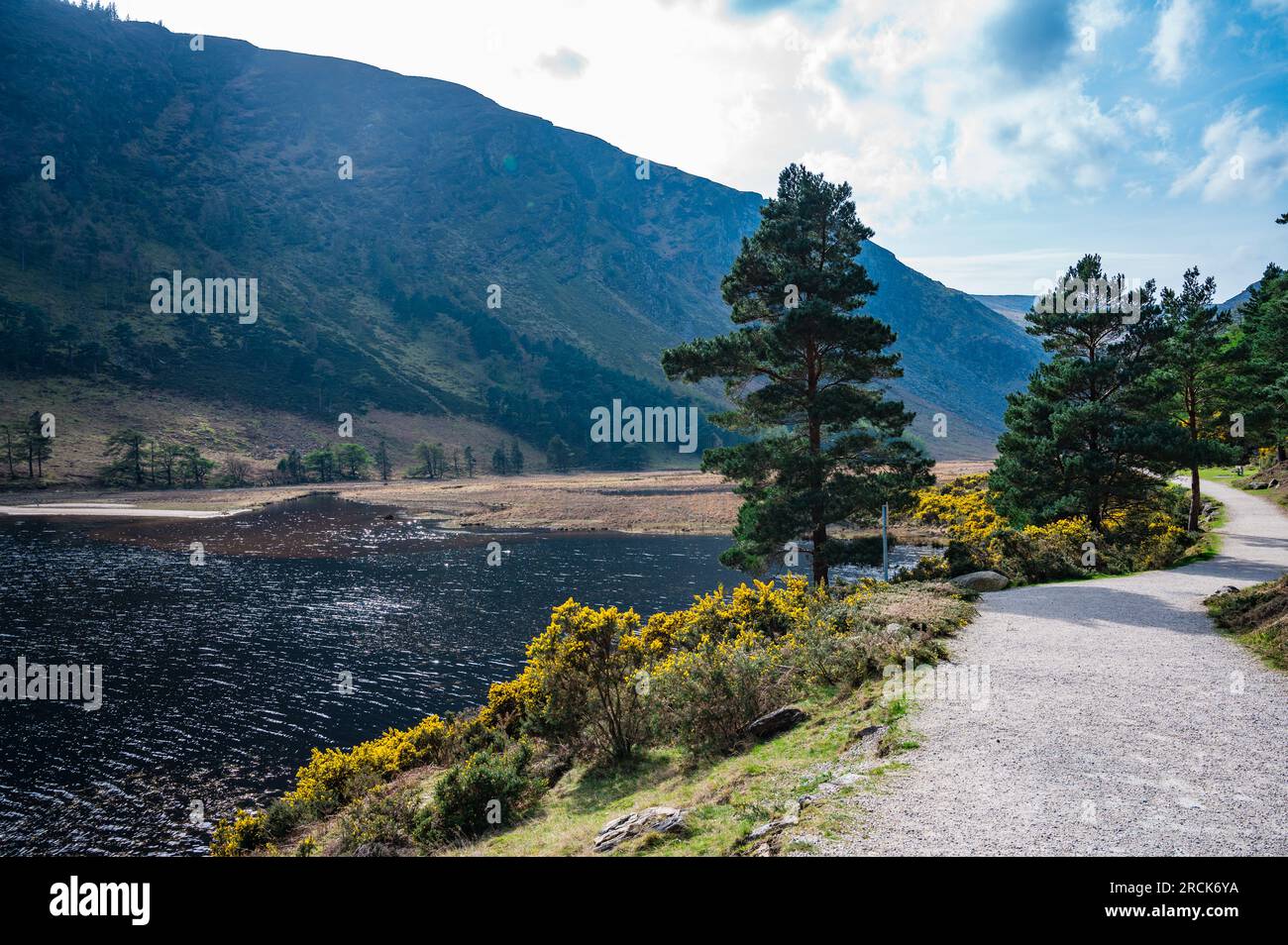 The River Running Along the Pathway, Glendalough, County Wicklow, Republic of Ireland Stock Photo