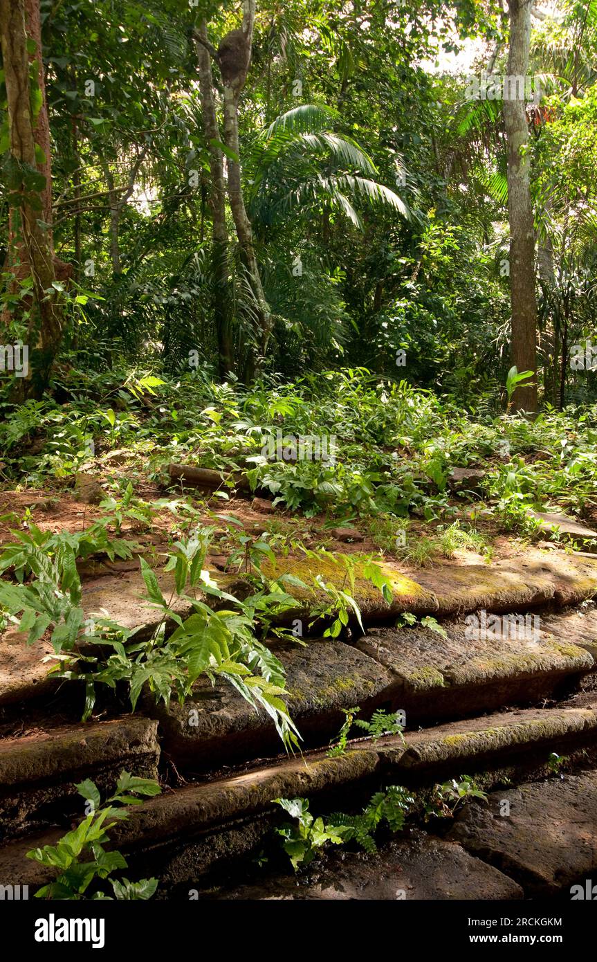 Old altar steps of a church in the historic Spanish trail Camino de Cruces in Panama, Central America - stock photo Stock Photo