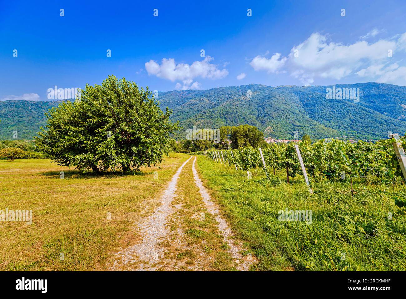 Italy Veneto The Village of Fratta - Prosecco Hills Trail Stock Photo